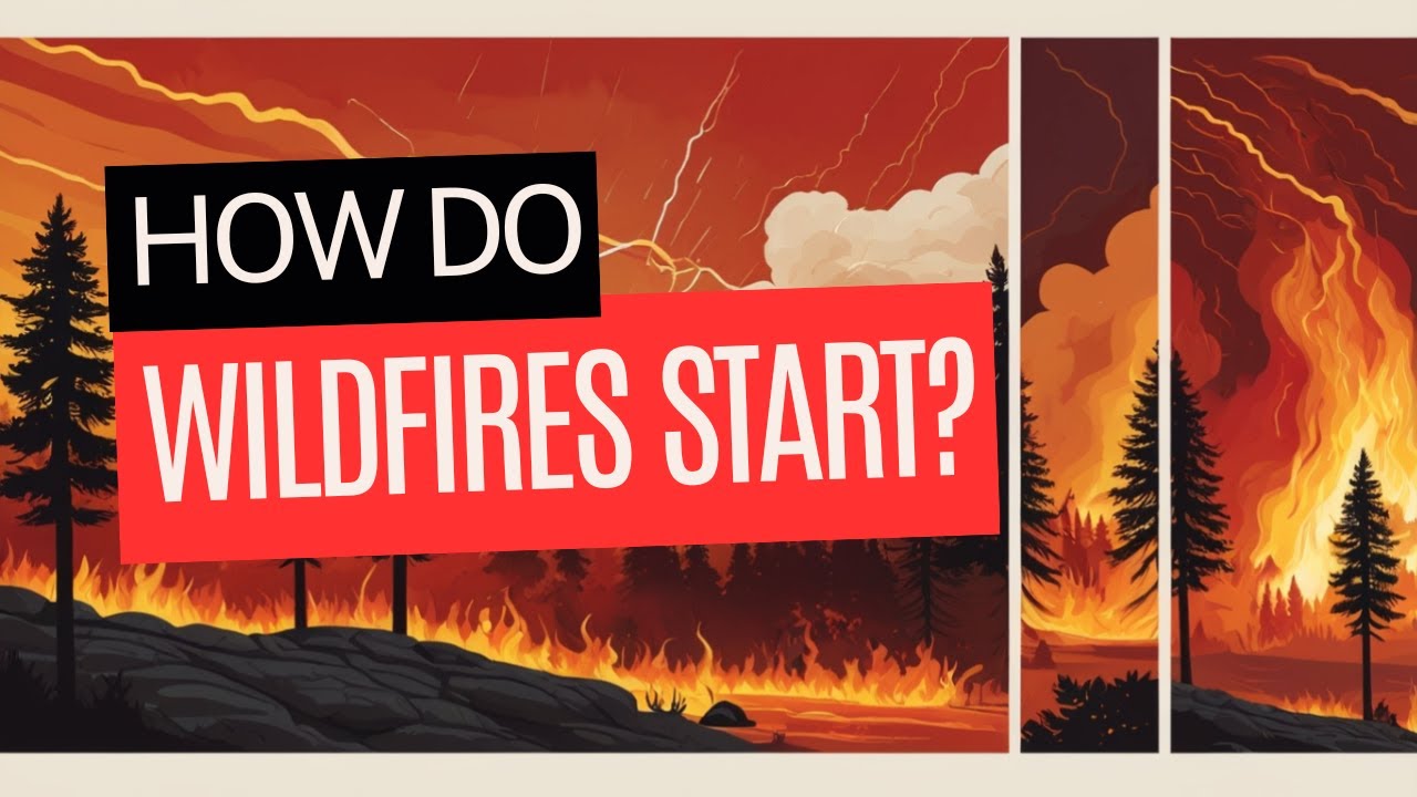How Do Wildfires Start? - YouTube