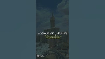 سورة يوسف قرآن كريم #اكسبلور #شورتس #رمضان #قرآن