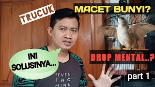 TIPS PEMULIHAN TRUCUK DROP MENTAL DAN MACET BUNYI #PART 1