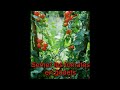 Semer les tomates en godets  les 4 saisons du jardin bio