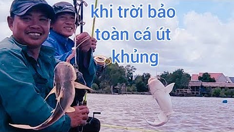 #series Câu Cá Gặp Cơn Mưa Lớn Bất Chợt Đụng Bầy Cá Út Khủng#62sanbatvlog