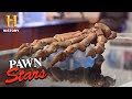 Pawn Stars: TOP PREHISTORIC PAWNS (3 Old, Rare & Expensive Items) | History