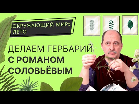 Как сделать гербарий: приклеиваем растение и подписываем! Окружающий мир: лето с РБ