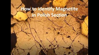 How to identify magnetite in polish section