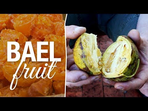Vídeo: 10 Usos E Benefícios Surpreendentes Da Fruta Bael