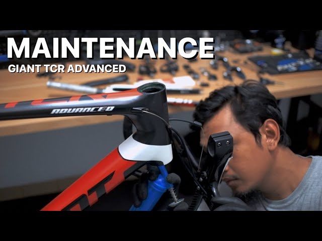 Giant tcr advanced || Full bike maintenance & detailing - YouTube