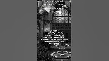 سورة الأنبياء 29/16 turk/arab #القران_الكريم#quran