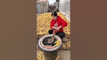 Clever threshing process of corn using creative tools