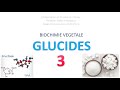  glucides osides  botanique e9raberk