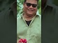 Cid Team Status Video | Cid Shorts Status#shorts #cid#cidteam#daya#abijeeth#purvi #shreya