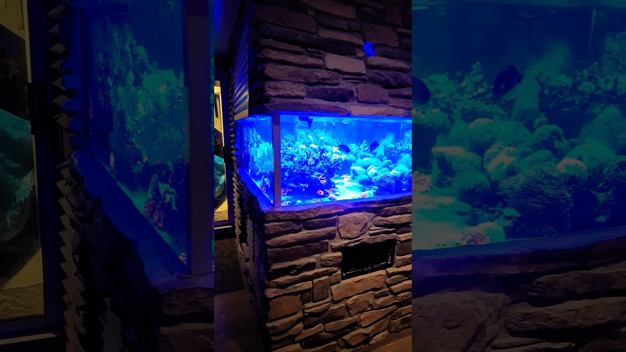 400 gallon aquarium.