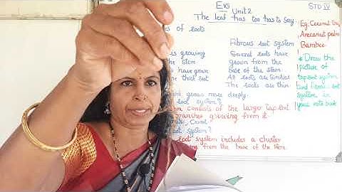 Std4, Evs, Unit2:The leaf too has to say, part1.