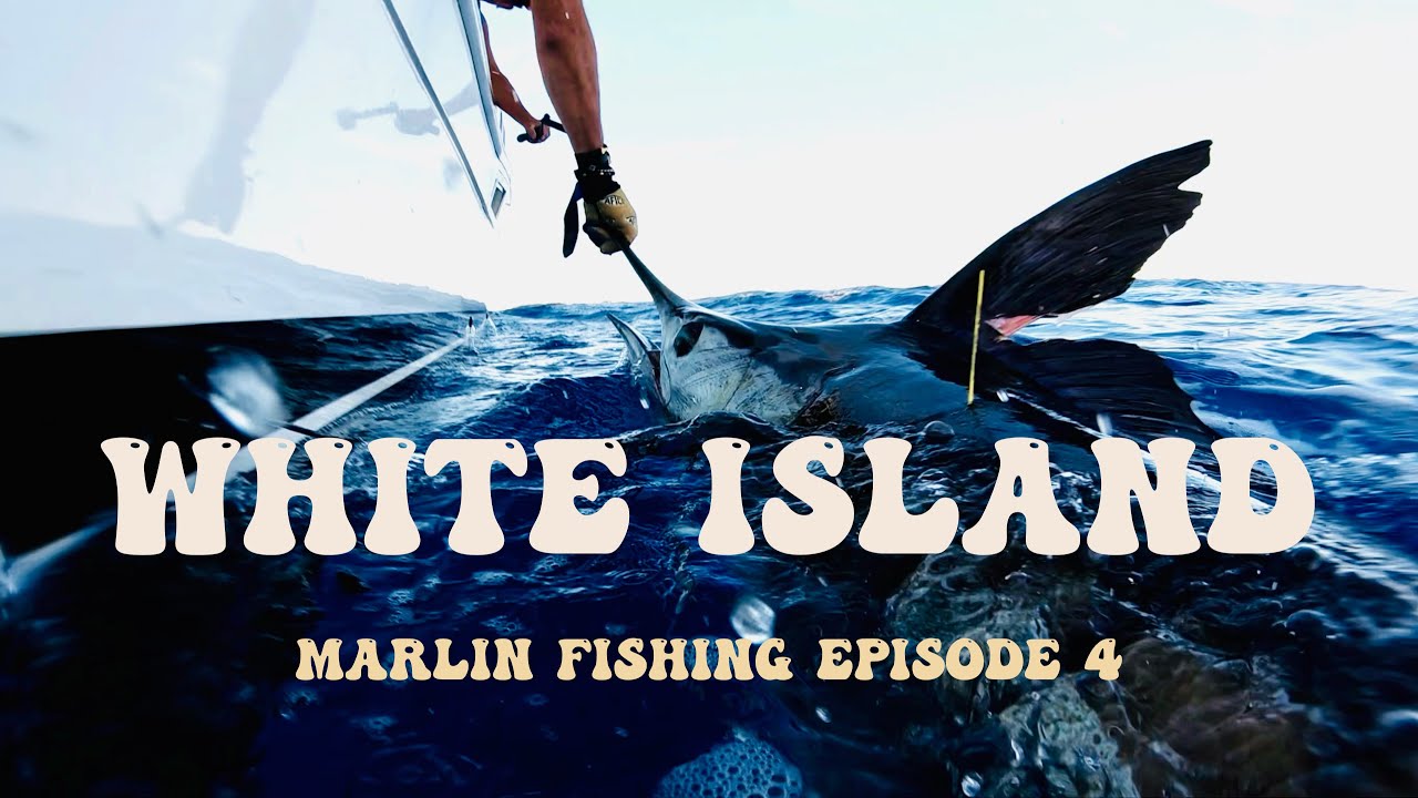 White Island Fishing Adventure: Chasing Monster Marlin in New Zealand's