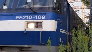 【豪快なジョイント音！】JR貨物 EF210-109号機+コキ22B 岡A26仕業[71レ] 新居浜行 小田第三踏切付近通過！