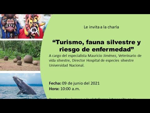 Video: Un veterinario juega a favoritos: sus 5 mejores clientes