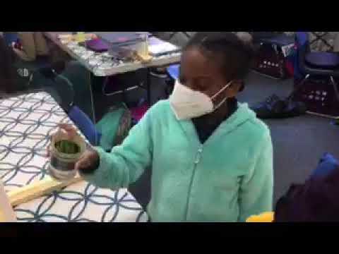 Science Comes to Life at Park Place School!