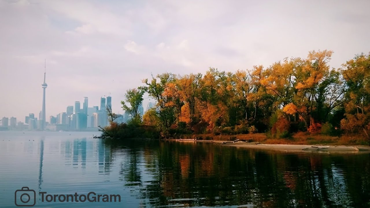 🍁Toronto Autumn Drive: Downtown Fall Foliage & City Vibes (2 Hours Scenic Tour)