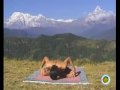 YANTRA YOGA The Tibetan Yoga of Movement Mp3 Song