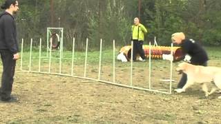 Easter BAT Cup 15.04.2012. - J1L 2 - Jelena i Oskar