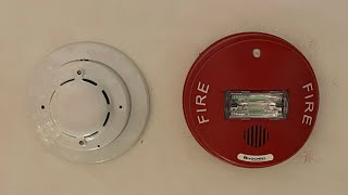 Basement Fire System Test 22 | Hochiki Fire Alarms