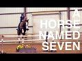 A horse named seven