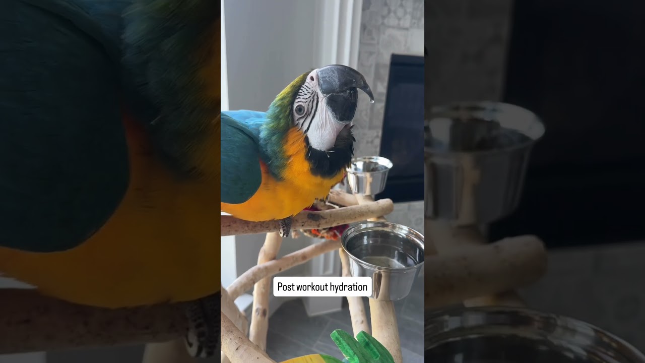 Quality time with Aurora 💙 