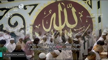 تلاوة- صلاة التراويح للشيخ علي الحذيفي من المسجد النبوي ليلة25رمضان1437( الأحقاف-محمد - الفتح1-17)