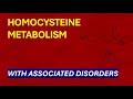Homocysteine: Metabolism, Associated Disorders and Management