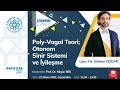 Poly - Vagal Teori; Otonom Sinir Sistemi ve İyileşme