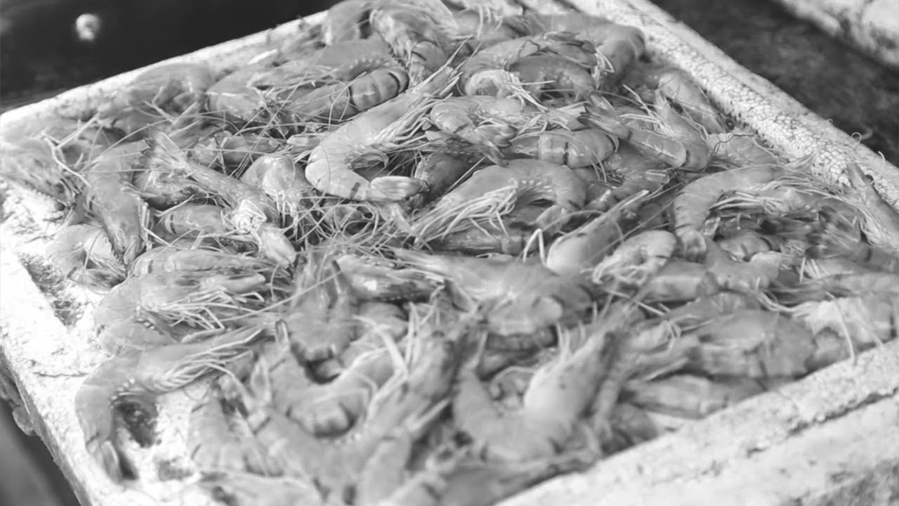 tv kanalları Frank Patti Sr. from Joe Patti's Seafood