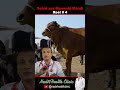 Janwar Kharidne Se Pehle Ye Warning Zaroor Sunain - Doctor Explains - Congo Fever - Reel 4 #doctor