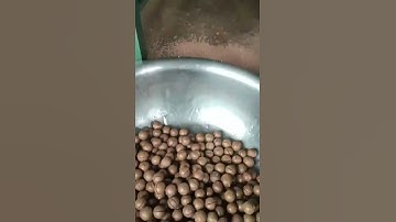 Macadamia nut opening machine