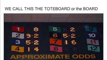 HORSE RACING FOR NEWBIES: EXPLAINING ODDS