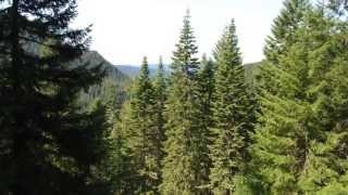 Cone Mountain on Tombstone Pass in the Central Oregon Cascades