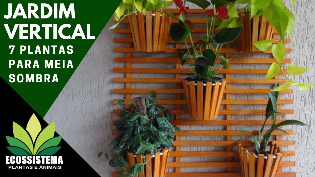 7 plantas para jardins verticais para ser cultivada a meia sombra - thptnganamst.edu.vn