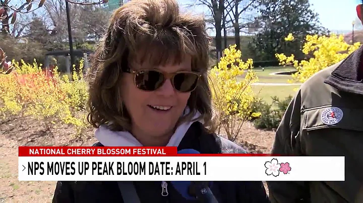 Predicted peak bloom for D.C. cherry blossoms moved up to April 1, NPS says