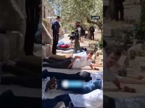 مستوطنون يؤدون ما يسمى السجود الملحمي بشكل جماعي في باحات المسجد الأقصى المبارك بعد اقتحامه