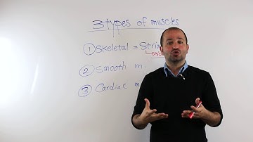 3 types of muscles - PASSMBLEx.com WATCH&PASS© LEARN VIDEOS
