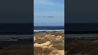 Solo olones aquí #canarias #playa #beach #waves #bodyboard
