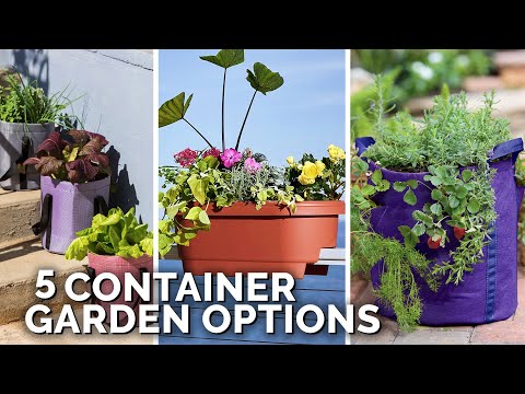 Video: Apartment Gardening Idéer: Containerhaver til beboere i lejligheder