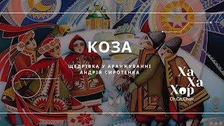 Коза (аранжування Андрія Сиротенко)