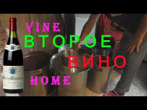 Домашнее виноделие. Второе