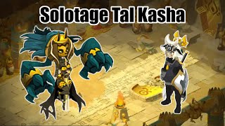 Solotage Huppermage | Tal Kasha | Intouchable