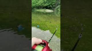 Hook Fishing  Traditional Hook fishing in Beautiful Natural Pond # 270