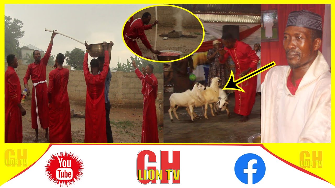🔥🔥Wow serious white sheep rituals performed by the great lion see wat ...