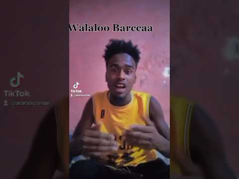 Funny Comedy Oromo Walaloo Barccaa
