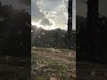ban ke tilti tu uda uda hai #titli #butterfly #sunset #explore