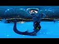 360 Video: Jagger Burns through the Shark Head