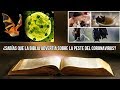 ¿SABIAS QUE LA Biblia ADVERTIA SOBRE LA PESTE DEL CORONAVIRUS?