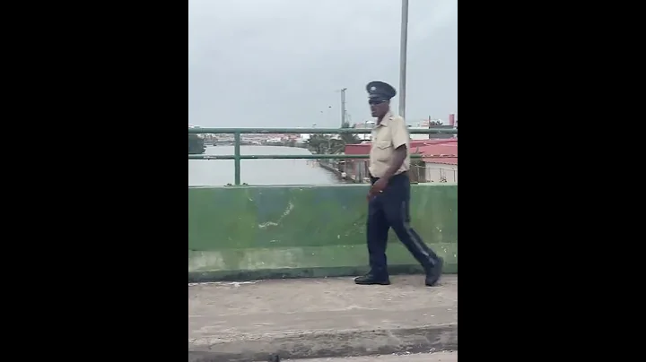 😂🙈 Well lol… Monkey See, Monkey Do! 🙉💡